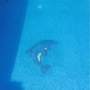 dibujos de delfines para piscinas