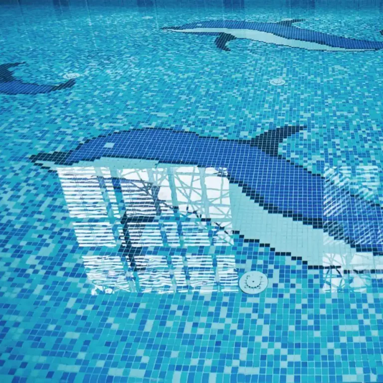 delfin piscina de gresite fondos de piscinas dibujos