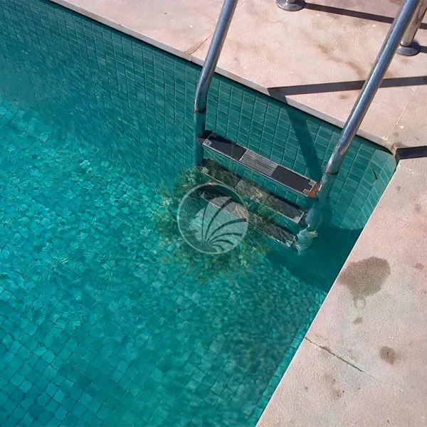 escalera piscina niebla verde 503
