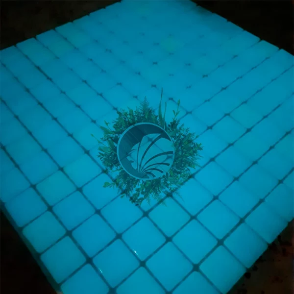 Placa Luminiscente Azul - Imagen 4