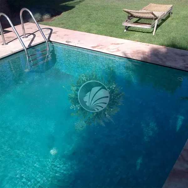 piscina niebla verde 503