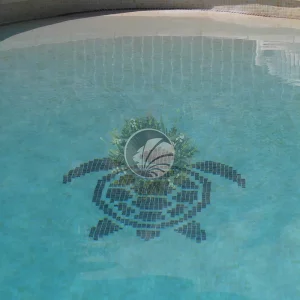 dibujos fondo piscina tortuga
