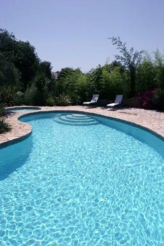 piscina de riñon