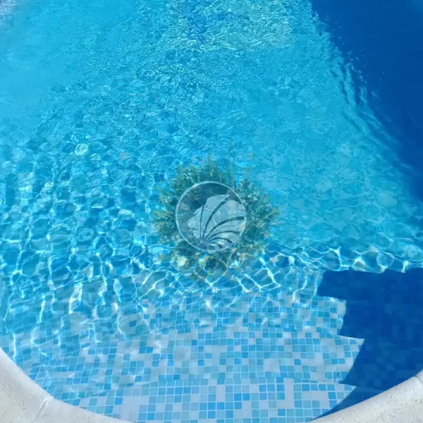 Mezcla Fiji - Imagen 2