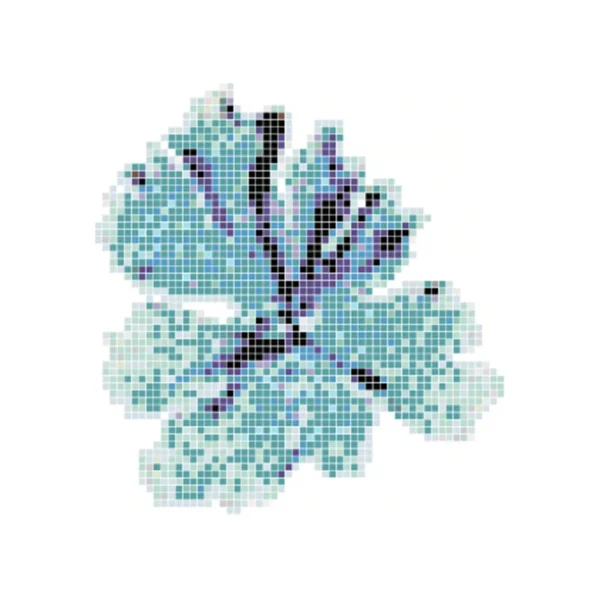 Alga Verde